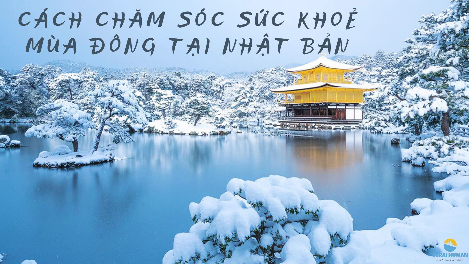 lao động Nhật Bản